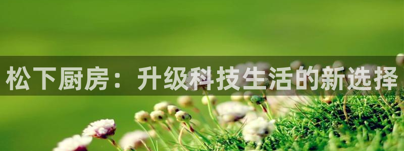摩登7官网的详细介绍