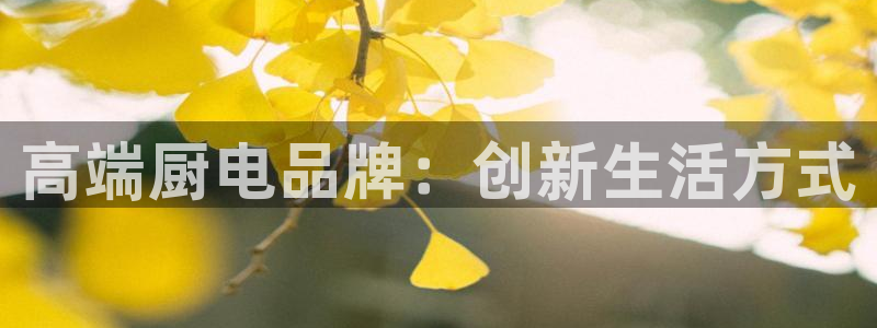 摩登招商7约22650