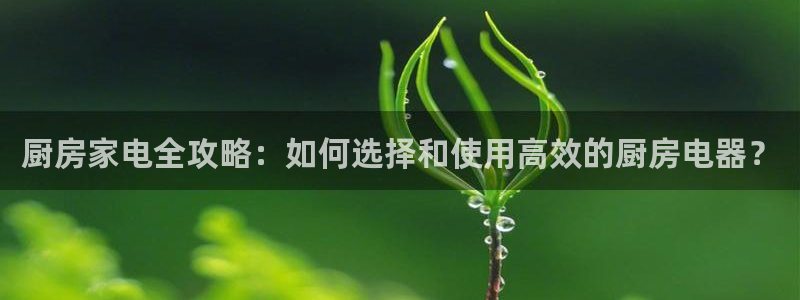 摩登7app下载