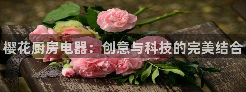 摩登7主管qq