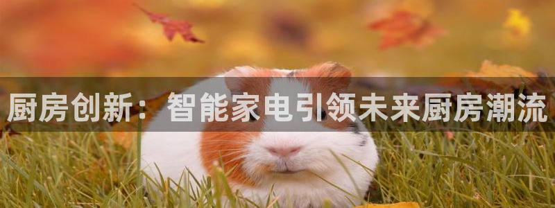 摩登7主管qq