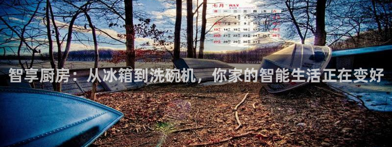 摩登7天7O667