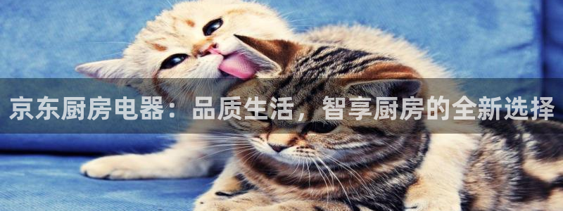 摩登平台视7O777
