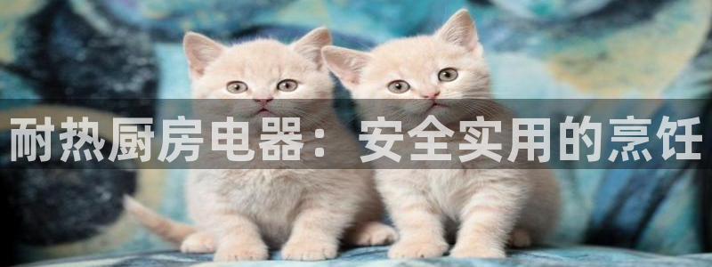 摩登7主管亲333OO