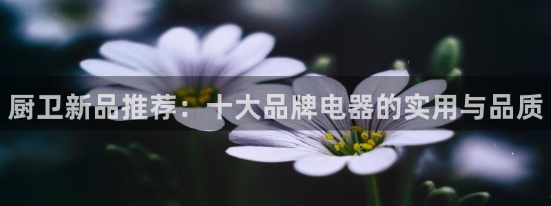 摩登3前7O667