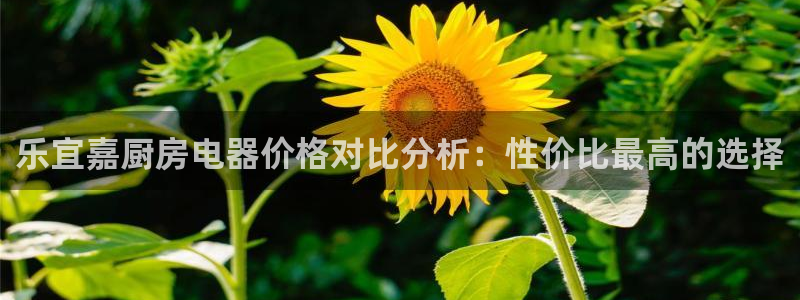 摩登7股东