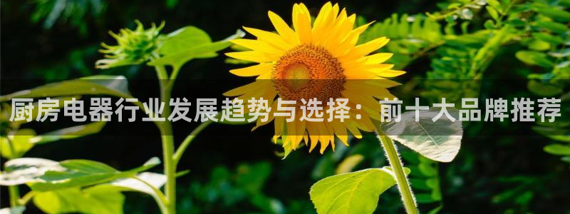 摩登7d2