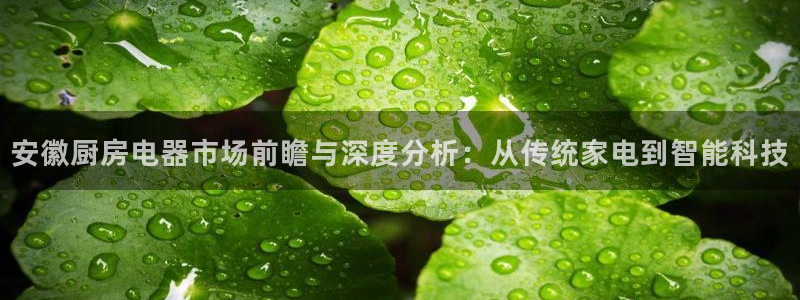 摩登7官方联系方式