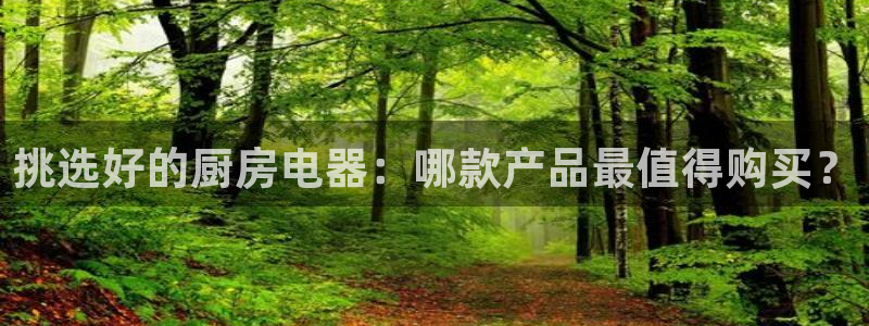 摩登7右7O667