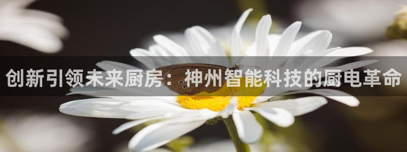 摩登平台除7O777