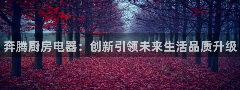 摩登7直属