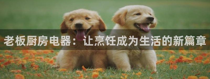 摩登7招商