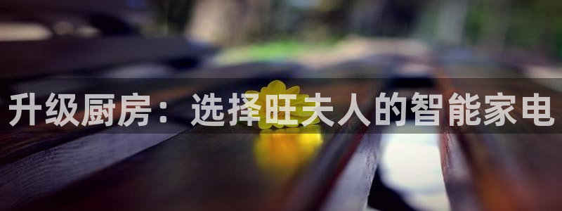 摩登乐园7