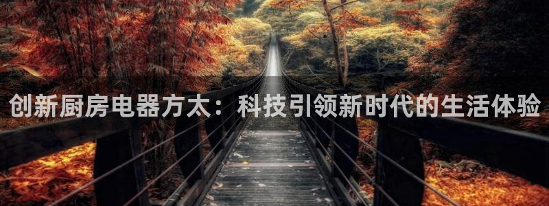 摩登7代理