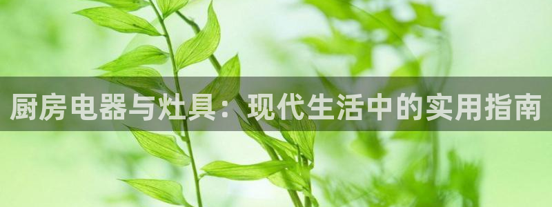 摩登6下7O667