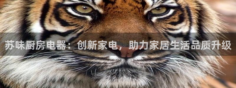 摩登5张7O667