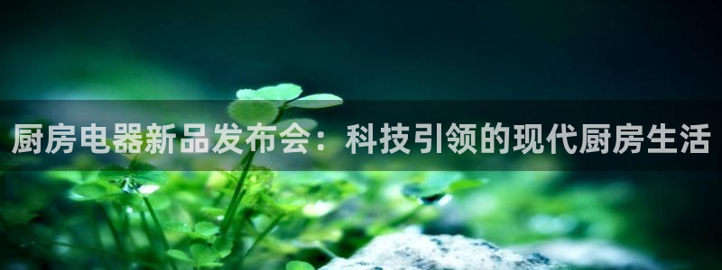 摩登4右7O667