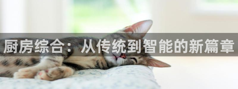 摩登7网彩正规吗