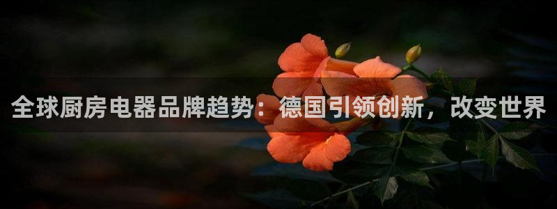 摩登7高管