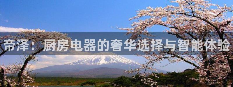 摩登7月7O667