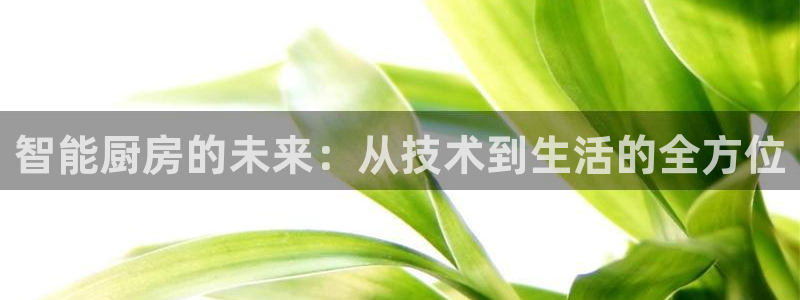 摩登7直属
