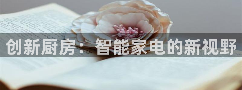 摩登5右7O667