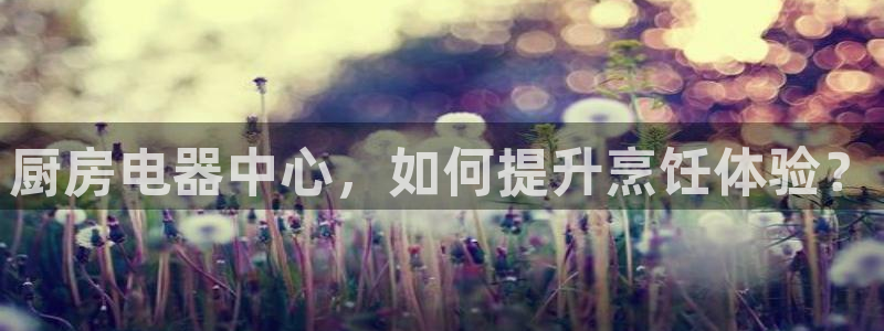 摩登7代理