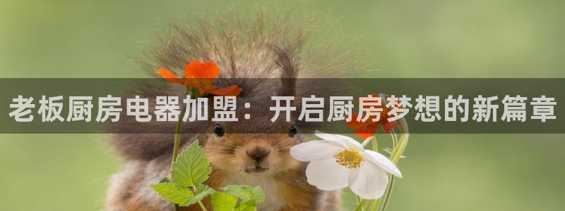 摩登招商7约22650