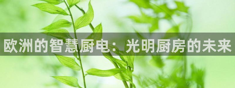 摩登7属于什么平台