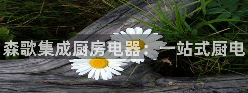 摩登7地址