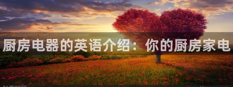 摩登5月7O667