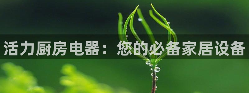 摩登4右7O667