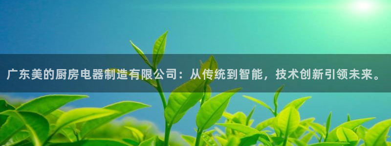 摩登7挂机