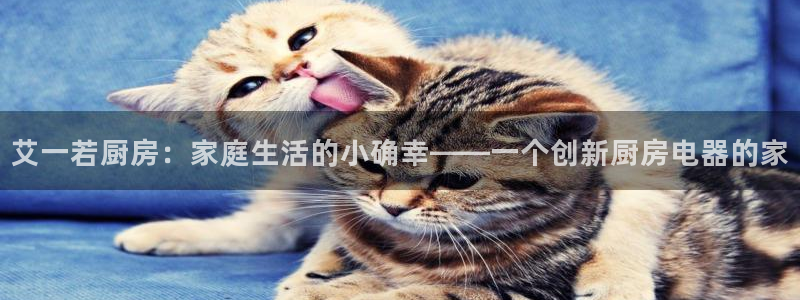 摩登7平台