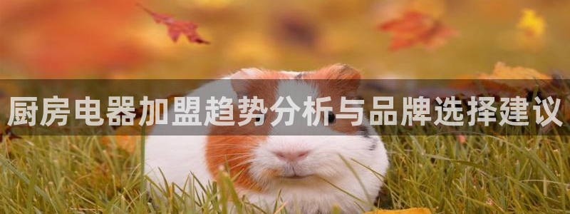 摩登平台视7O777