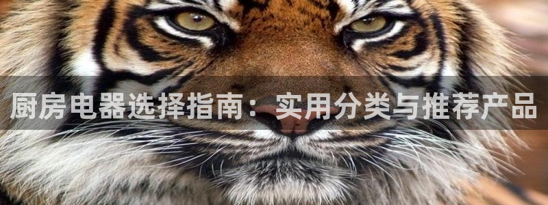 摩登7右7O667
