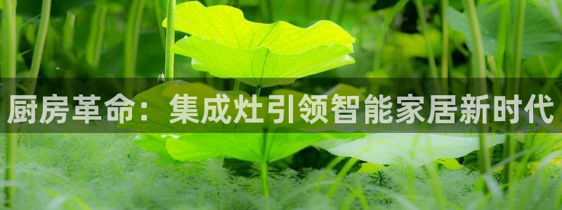 摩登7月3299O7