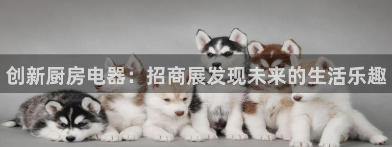 摩登7娱乐