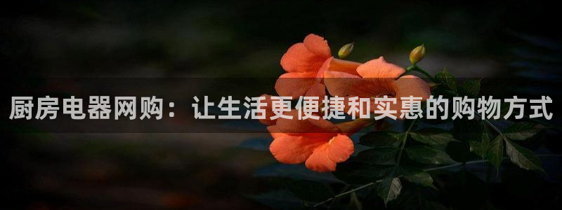 摩登7娱乐怎么样
