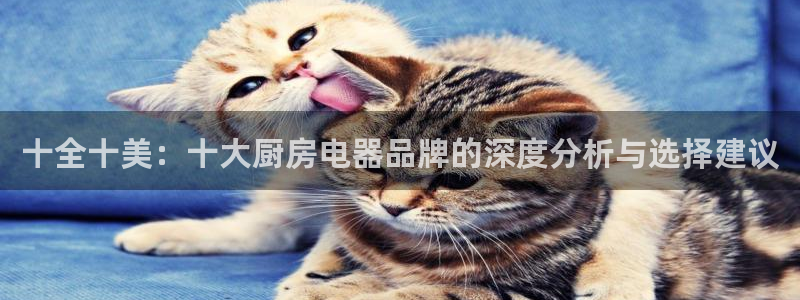 摩登3来找7O667