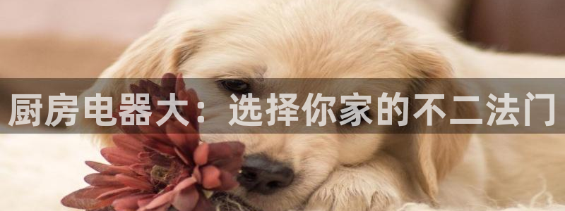 摩登系列摩登7