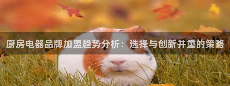 摩登3周这7O667