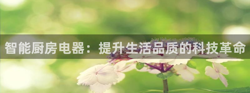 摩登7主管qq