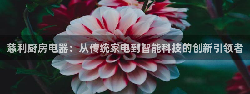 摩登3往找7O667