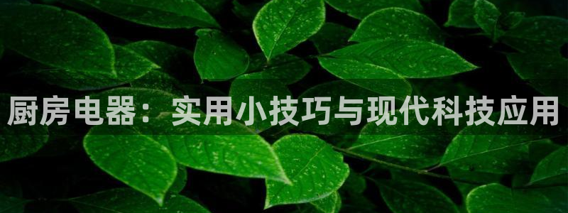 摩登7夜判官333OO