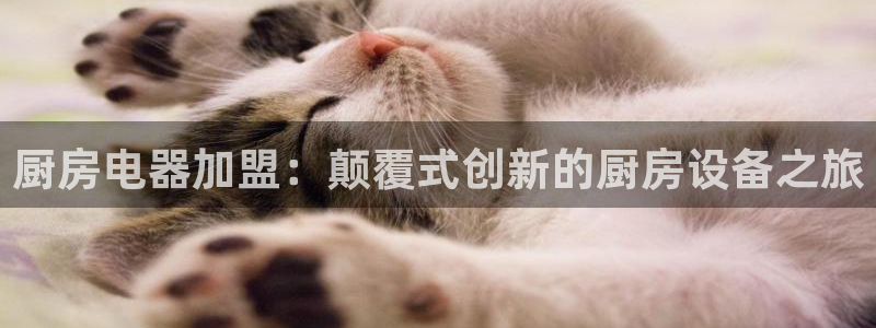 摩登7冠