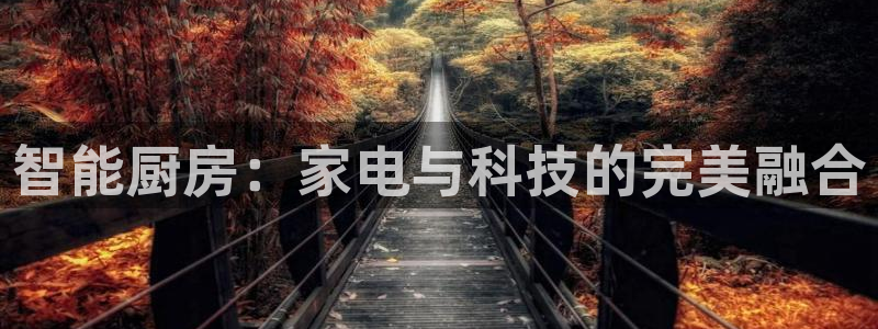 摩登7黑钱
