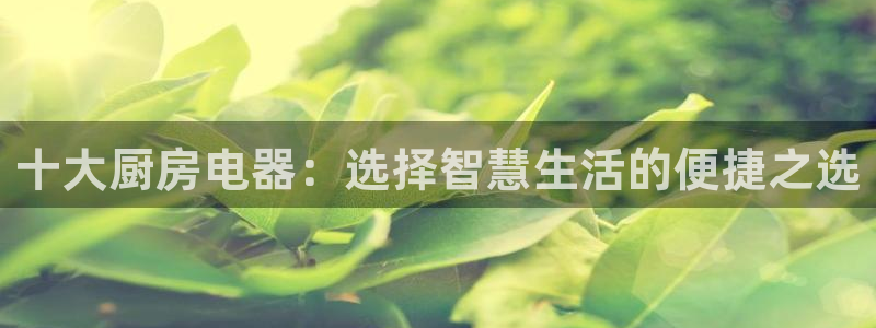 摩登4天7O667