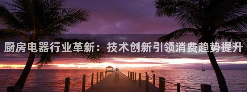 摩登7怎么联系客服