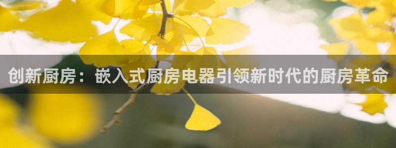 摩登4上7O667